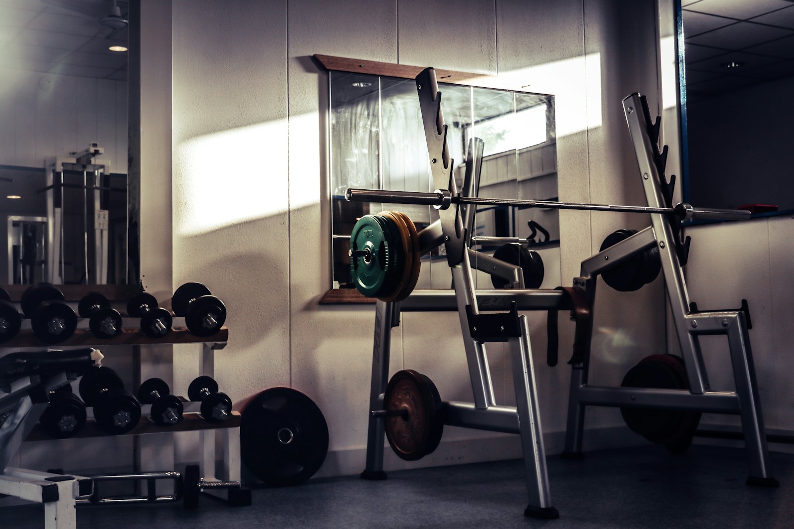 Treino na Bioforma Academia